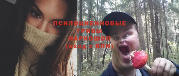 mdpv Куйбышев