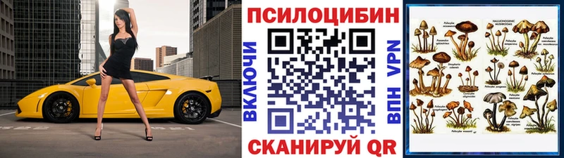 Купить закладки  Кукмор  Псилоцибиновые грибы Cubensis 